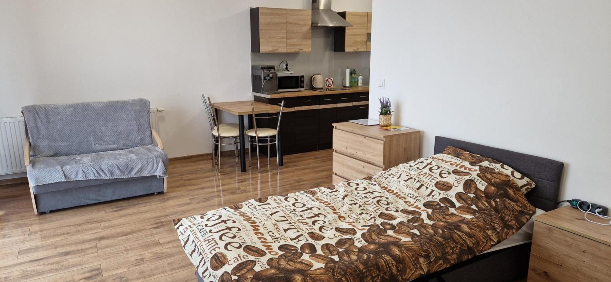 Sloneczny Apartment *